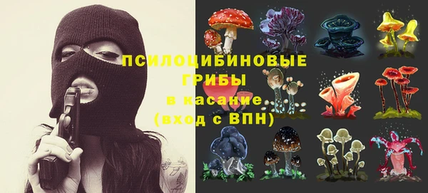 шишки Нязепетровск