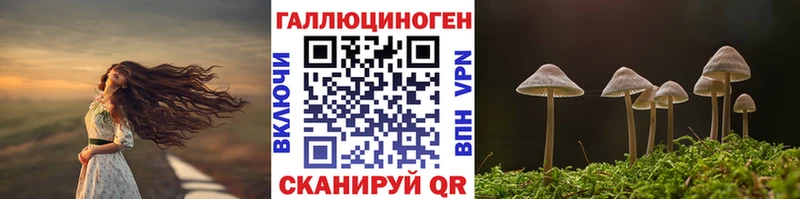 Псилоцибиновые грибы GOLDEN TEACHER  Североуральск 